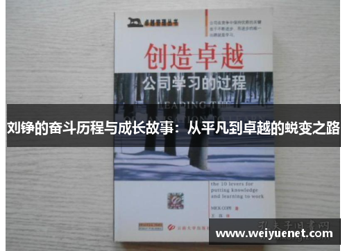 刘铮的奋斗历程与成长故事：从平凡到卓越的蜕变之路