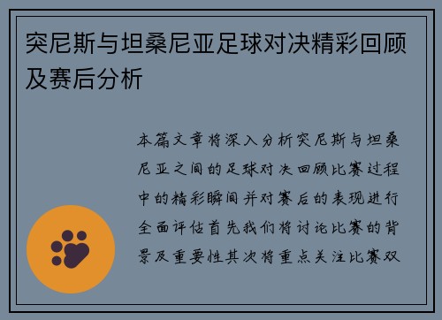 突尼斯与坦桑尼亚足球对决精彩回顾及赛后分析